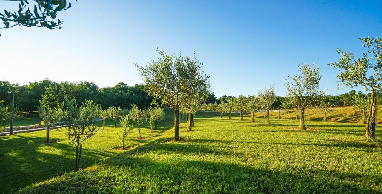 Stancija Ruseti Bed & Breakfast Oprtalj Bagian luar foto