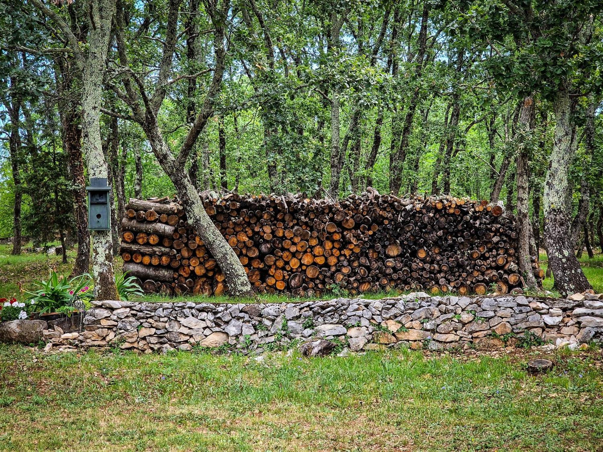 Stancija Ruseti Bed & Breakfast Oprtalj Bagian luar foto