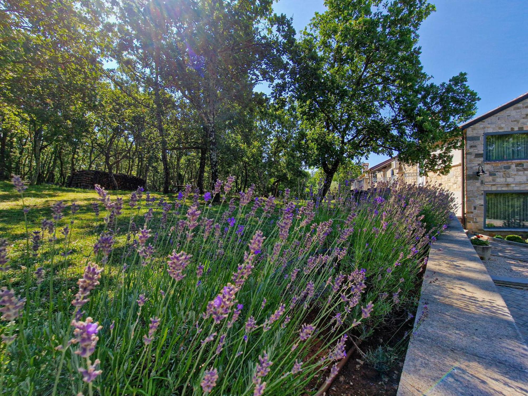 Stancija Ruseti Bed & Breakfast Oprtalj Bagian luar foto