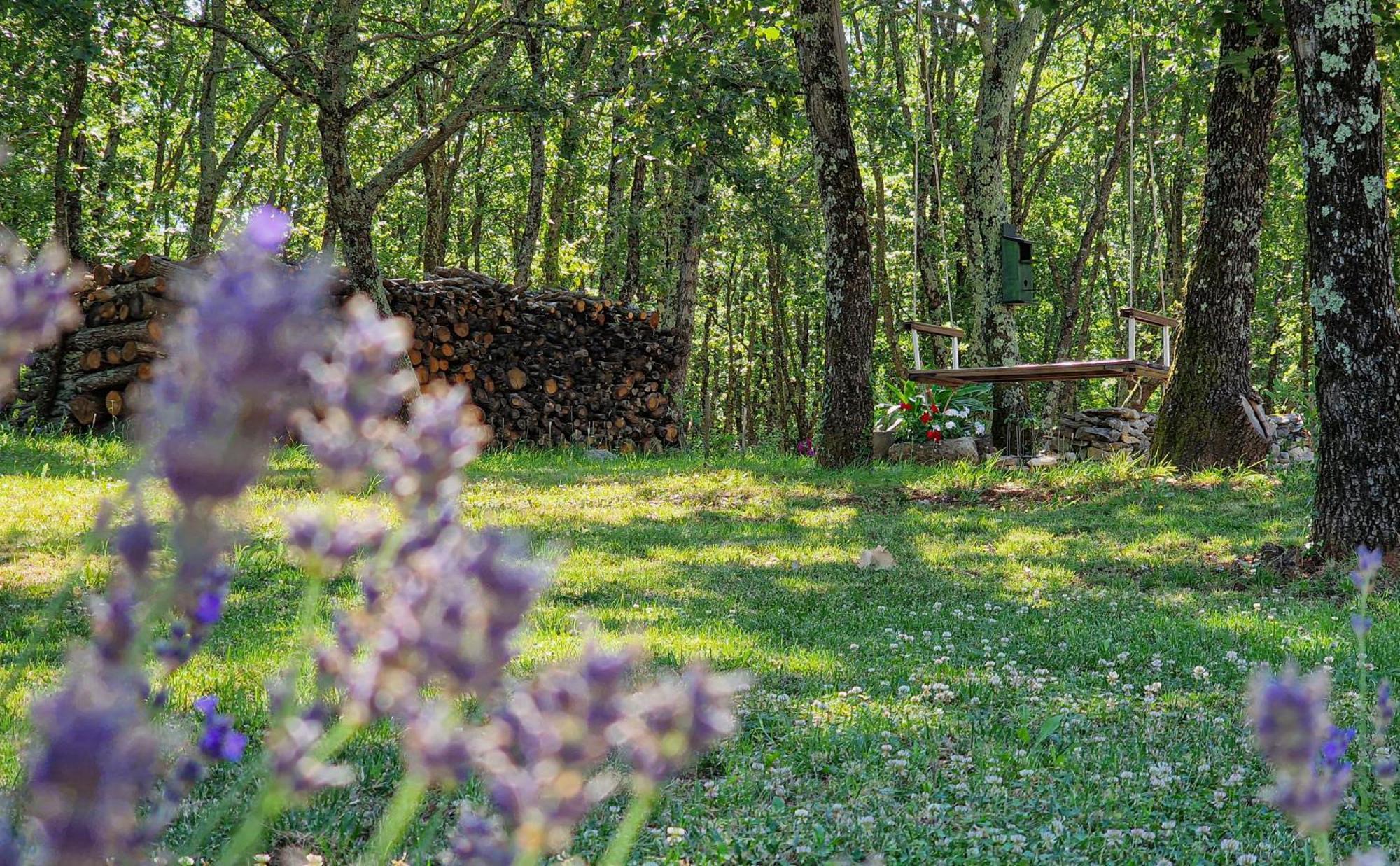 Stancija Ruseti Bed & Breakfast Oprtalj Bagian luar foto
