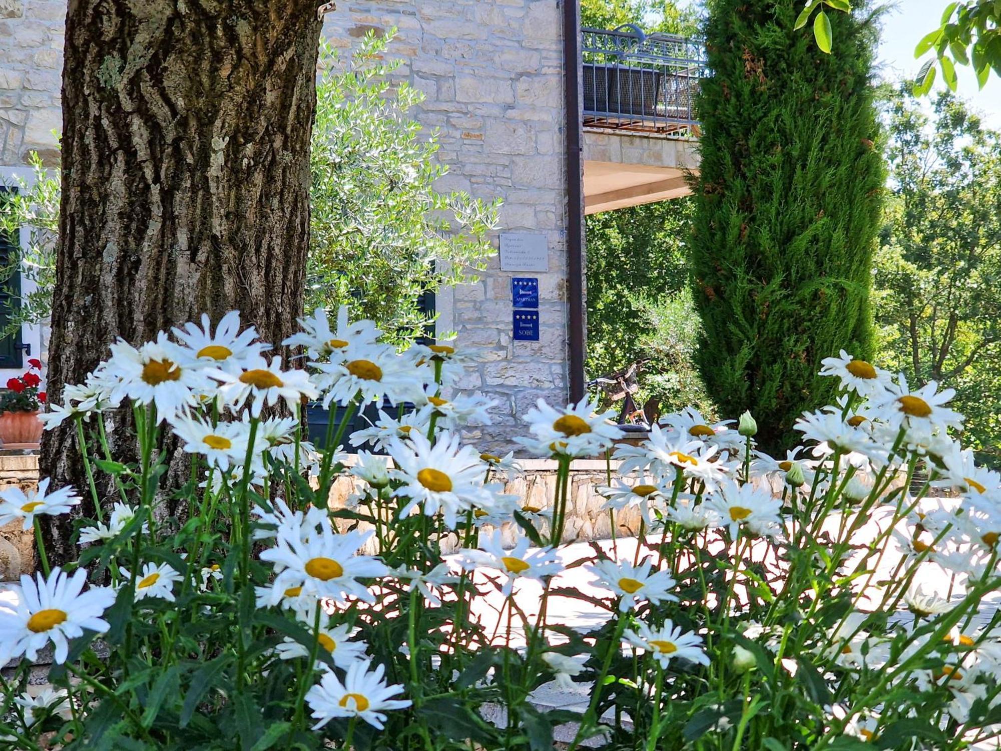 Stancija Ruseti Bed & Breakfast Oprtalj Bagian luar foto