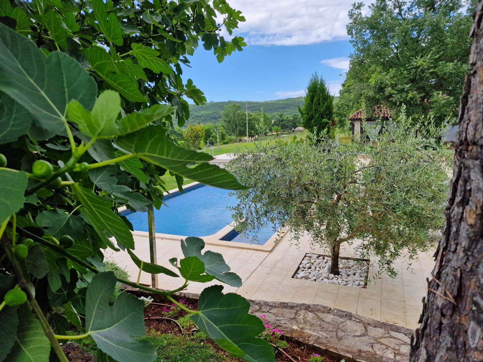 Stancija Ruseti Bed & Breakfast Oprtalj Bagian luar foto